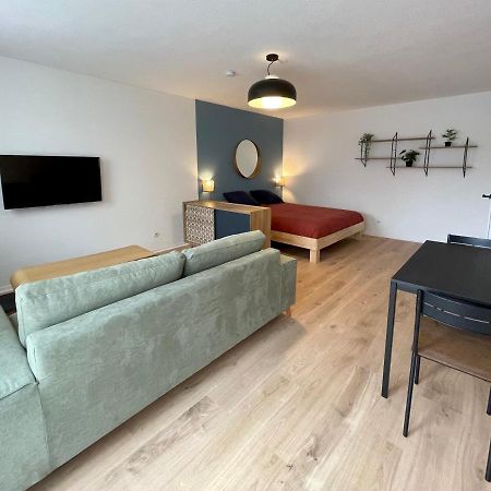 Grand Studio Joli Coeur - Calme Cosy Lumineux + Parking Nancy Exterior foto